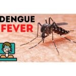 Dengue Fever in UAE